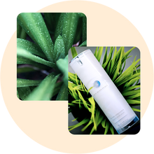 Anti-Aging Medication image 0